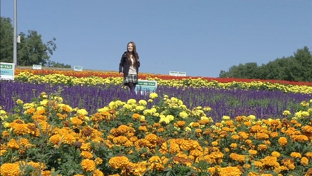 北海道夢之旅 Land of Dreams, Hokkaido